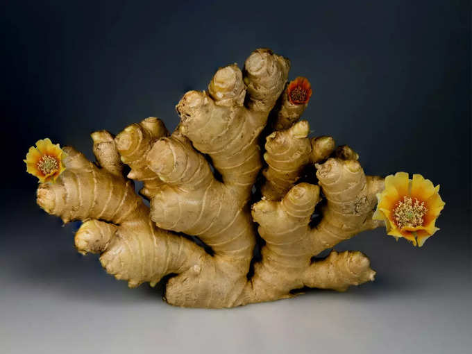 అల్లం (Ginger)