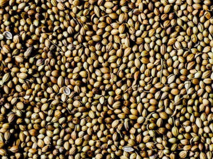 ధనియాలు (Coriander)