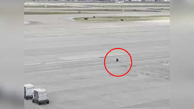 Video: बॅगेत भूत शिरलं की काय? एअरपोर्टवरील ‘तो’ प्रकार पाहून व्हाल हैराण