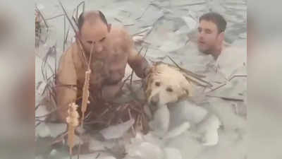 Video: कुत्र्यासाठी पोलिसांनी जीव घातला धोक्यात; मारली थेट मृत्यूच्या नदीत उडी
