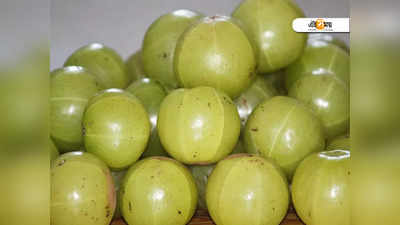 Side Effects Of Amla: আমলকি উপকারী, কিন্তু এই রোগীরা খেলে হিতের বিপরীত হতে পারে!