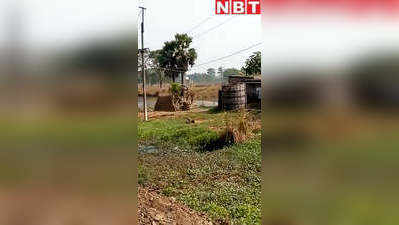 Chhapra News : बिहार में गजराज के कहर का वीडियो देखिए, पहले महावत को मारा और रौंद डाला कई घरों को