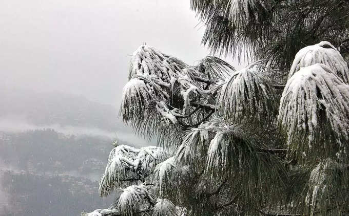 Snowfall In India: বিদেশ নয়, শীতে বরফ উপভোগ করতে হলে চলে যান দেশের এই ১০ শহরে!