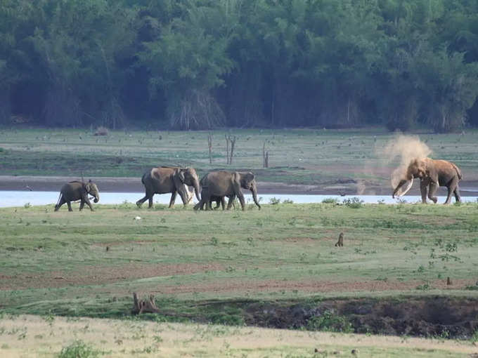 ​೧. ಕಬಿನಿ, ಕರ್ನಾಟಕ