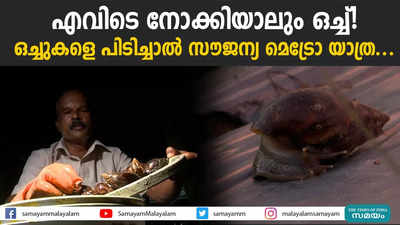 എവിടെ നോക്കിയാലും ഒച്ച്! ഒച്ചുകളെ പിടിച്ചാൽ സൗജന്യ മെട്രോ യാത്ര