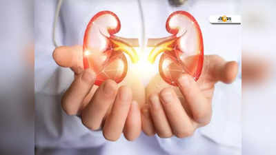 Kidney Health Tips: কিডনির সরাসরি ক্ষতি করে এই খাবারগুলি! জানুন