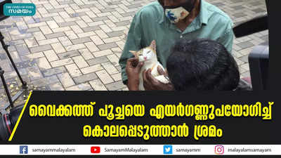 വൈക്കത്ത്‌ പൂച്ചയെ എയര്‍ഗണ്ണുപയോഗിച്ച് കൊലപ്പെടുത്താന്‍ ശ്രമം