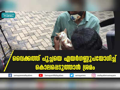 വൈക്കത്ത്‌ പൂച്ചയെ എയര്‍ഗണ്ണുപയോഗിച്ച് കൊലപ്പെടുത്താന്‍ ശ്രമം