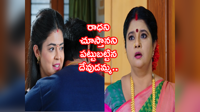 Devatha డిసెంబర్ 14 ఎపిసోడ్: రాధని చూసేతీరతానని పట్టుబట్టిన దేవుడమ్మ.. కీలక మలుపు