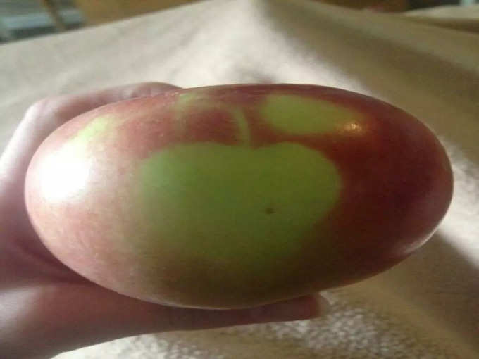 दूसरा सेब हरा है!
