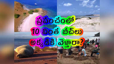 ప్రపంచంలో 10 వింత బీచ్‌లు.. అక్కడికి వెళ్తారా?