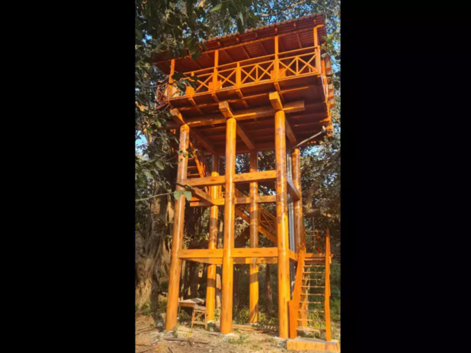 Uttarakhand forest tree house 1