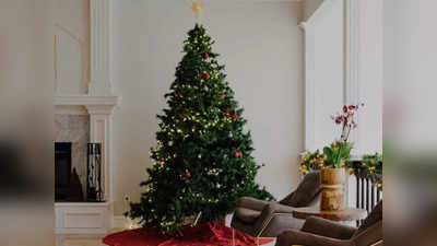25 दिसंबर के लिए करनी है डेकोरेशन तो इन Christmas Tree का लें सहारा, पाएं कई ऑर्नामेंट्स