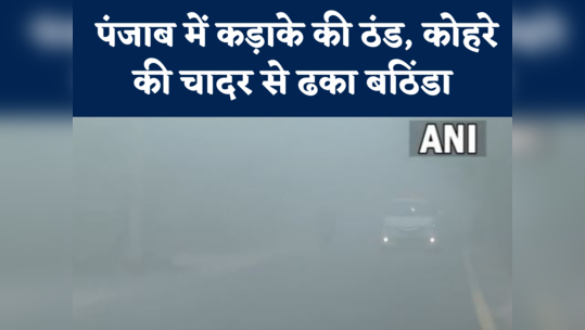 Bathinda Weather video: पंजाब में कड़ाके की ठंड, कोहरे की चादर से ढका बठिंडा, देखें वीडियो