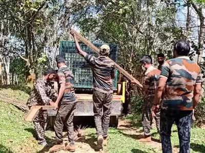 വീണ്ടും കടുവ... കുറുക്കൻമൂലയിൽ സംഘർഷാവസ്ഥ, ഉദ്യോ​ഗസ്ഥരെ നാട്ടുകാർ തടഞ്ഞു!