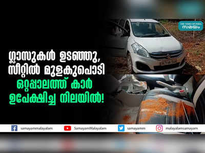 ഗ്ലാസുകൾ ഉടഞ്ഞു, സീറ്റിൽ മുളകുപൊടി;  ഒറ്റപ്പാലത്ത് കാര്‍ ഉപേക്ഷിച്ച നിലയില്‍!