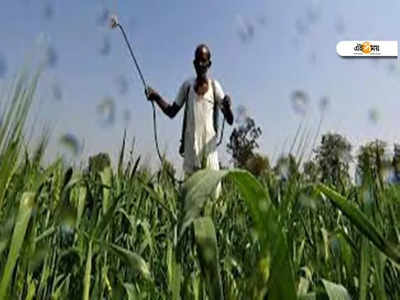 Pradhan Mantri Kisan Sinchai Yojana: বড় ঘোষণা কেন্দ্রের, উপকৃত হবেন 22 লাখ চাষি