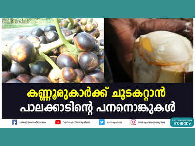 കണ്ണൂരുകാർക്ക് ചൂടകറ്റാൻ പാലക്കാടിറെ പനനൊങ്കുകൾ