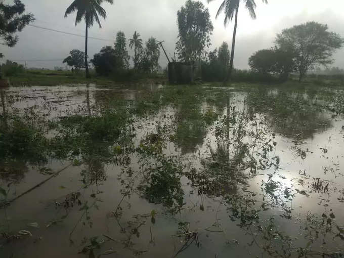 ​ಅಂತರ್ಜಲದ ಶುದ್ಧೀಕರಣ ಅತ್ಯಗತ್ಯ