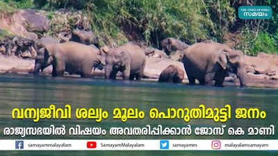 വന്യജീവി ശല്യം മൂലം പൊറുതിമുട്ടി ജനം; രാജ്യസഭയിൽ വിഷയം അവതരിപ്പിക്കാൻ ജോസ് കെ മാണി