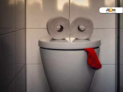 Bathroom Odor: বাথরুমের দুর্গন্ধে টেকা দায়! কী ভাবে মোকাবিলা করবেন? রইল ঘরোয়া টোটকা...
