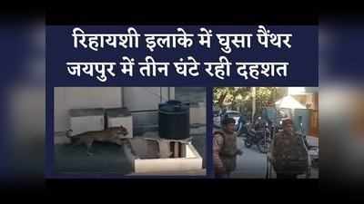 रिहायशी कॉलोनी में घुसा पैंथर, जयपुर में तीन घंटे बनी रही दहशत