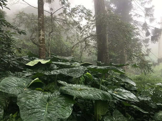 ​೧. ನಂದಿ ಬೆಟ್ಟ