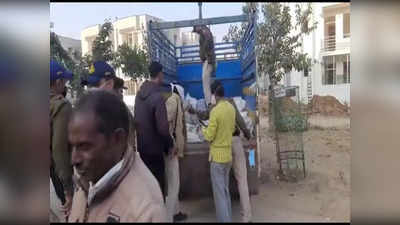 Bhind News: केले के ट्रक में छिपाकर आंध्र प्रदेश से ला रहे रहे थे एक हजार किलो गांजा, भिंड पुलिस ने दबोचा