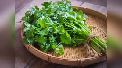 Coriander Stem : മല്ലി തണ്ട് കളയല്ലേ, ആരോഗ്യത്തിന് ഗുണം; ഇത് ചേർത്ത് കിടിലനൊരു സൂപ്പ്