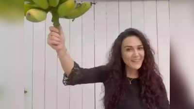 Video- अभिनेत्रीने जाणलं शेतीचं महत्त्व, घरच्या अंगणातच केली फुलवली केळ्याची बाग