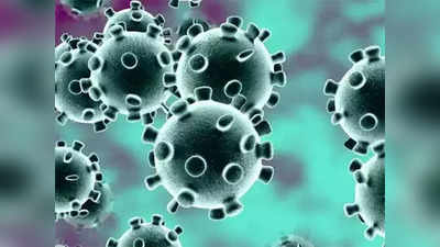coronavirus update : ओमिक्रॉनचा धोका असताना शाळांमध्ये करोना विस्फोट, एकूण ५२ विद्यार्थी पॉझिटिव्ह