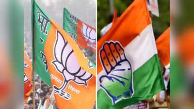Birgaon Nagar Nigam Result : बीरगांव नगर निगम में कांग्रेस को 19 वार्डों पर बढ़त, जानिए बीजेपी का हाल