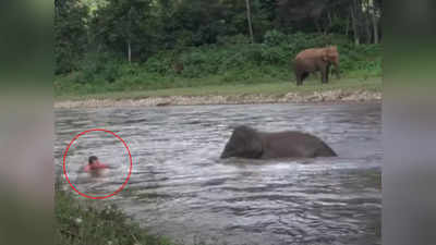 नदीत बुडणाऱ्या व्यक्तीचे हत्तीने वाचवले प्राण; पाहा माणुसकीचं दर्शन घडवणारा व्हिडीओ