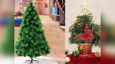 इस क्रिसमस घर को सजाने के लिए इस्तेमाल करें ये Xmas Tree, 5 फीट तक की साइज में हैं उपलब्ध