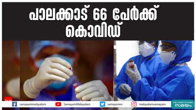 പാലക്കാട് 66 പേർ‍ക്ക് കൊവിഡ്  