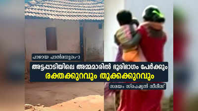 15-ാം വയസിൽ വിവാഹം, ഈ അമ്മയുടെ 3 മക്കളും മരിച്ചു! വീരാമ്മയുടെ അവസ്ഥയും സമാനം... അട്ടപ്പാടിയിൽ സംഭവിക്കുന്നത്