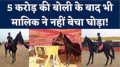 Maharashtra Horse News: महाराष्ट्र के नंदूरबार में 5 करोड़ का घोड़ा, जानिए क्या है खासियत