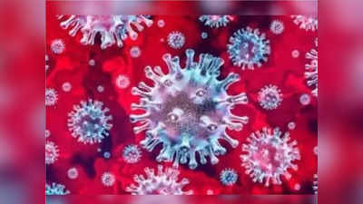 Omicron Coronavirus in Rajasthan : जयपुर में बने दो माइक्रो कंटेनमेंट जोन, 190 दिन पहले वाली हालत में राजस्थान की राजधानी
