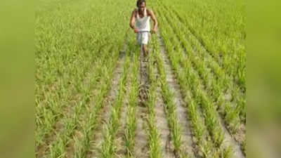 बिहार के इन 10 जिलों के किसानों को होगा फायदा, केंद्र सरकार कराएगी जलवायु अनुकूल खेती