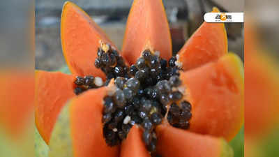 Papaya Side Effects: ভুলেও পেঁপে খাবেন না এইসব রোগীরা, হিতের বিপরীত হতে পারে!