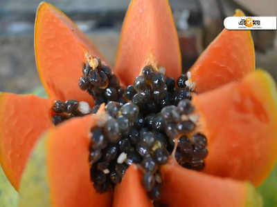 Papaya Side Effects: ভুলেও পেঁপে খাবেন না এইসব রোগীরা, হিতের বিপরীত হতে পারে!