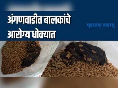 Aurangabad : धक्कादायक! बालकांच्या पोषण आहारात सापडला मेलेला उंदीर