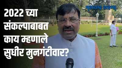 जेवढा पैसा पेंग्विनच्या नशिबी आहे, त्याच्या एक चतुर्थांश तर प्रत्येकाच्या नशीबी यावा - मुनगंटीवार