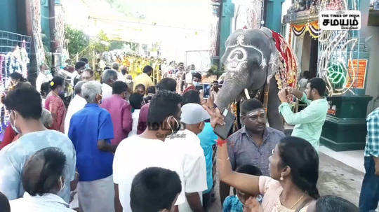 புதுச்சேரியில் புத்தாண்டு கொண்டாட்டம்; விநாயகரை தரிசிக்க நீண்ட வரிசை!