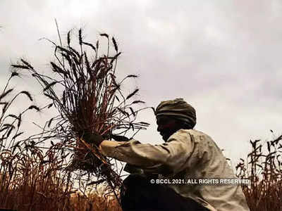 pm kisan : नववर्षाच्या पहिल्याच दिवशी PM मोदींची कोट्यवधी शेतकऱ्यांना भेट, २० हजार कोटी जारी