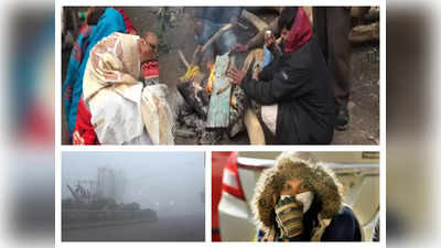 India Cold Wave : ठंड में तो नींद भी नहीं आती....देखिए दिल्ली समेत उत्तर भारत सर्दी से कैसे कांप रहा
