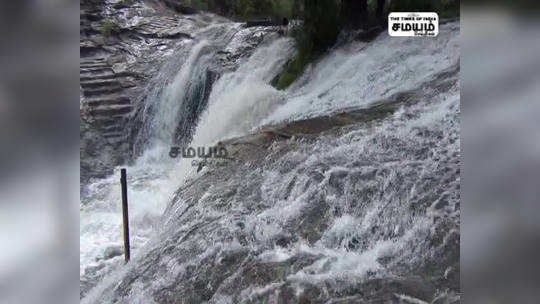 கனமழை எதிரொலி; கும்பக்கரை அருவியில் வெள்ளப்பெருக்கு!