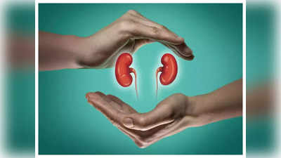 Foods For Kidneys : கிட்னி நல்லா இருக்க என்ன சாப்பிடணும்? என்ன தவிர்க்கணும்?