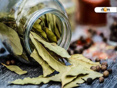 Bay Leaf Benefits: রান্নায় তেজপাতা দেননি? কী কী ক্ষতি করছেন জানেন...