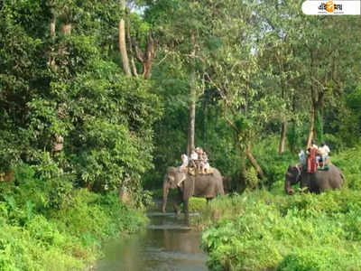 ​৫০% পর্যটক প্রবেশের দাবি জানিয়ে মুখ্যমন্ত্রীর দ্বারস্থ উত্তরবঙ্গের ব্যবসায়ীরা